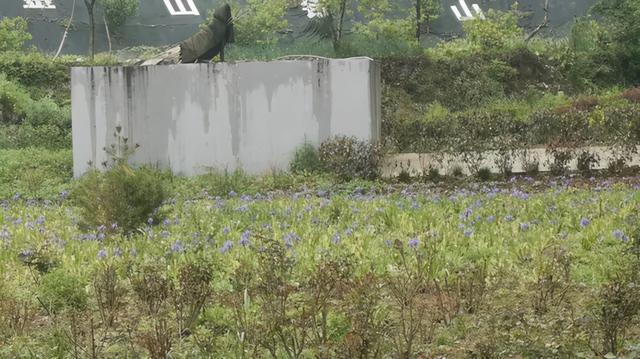 环保公厕 环保公厕